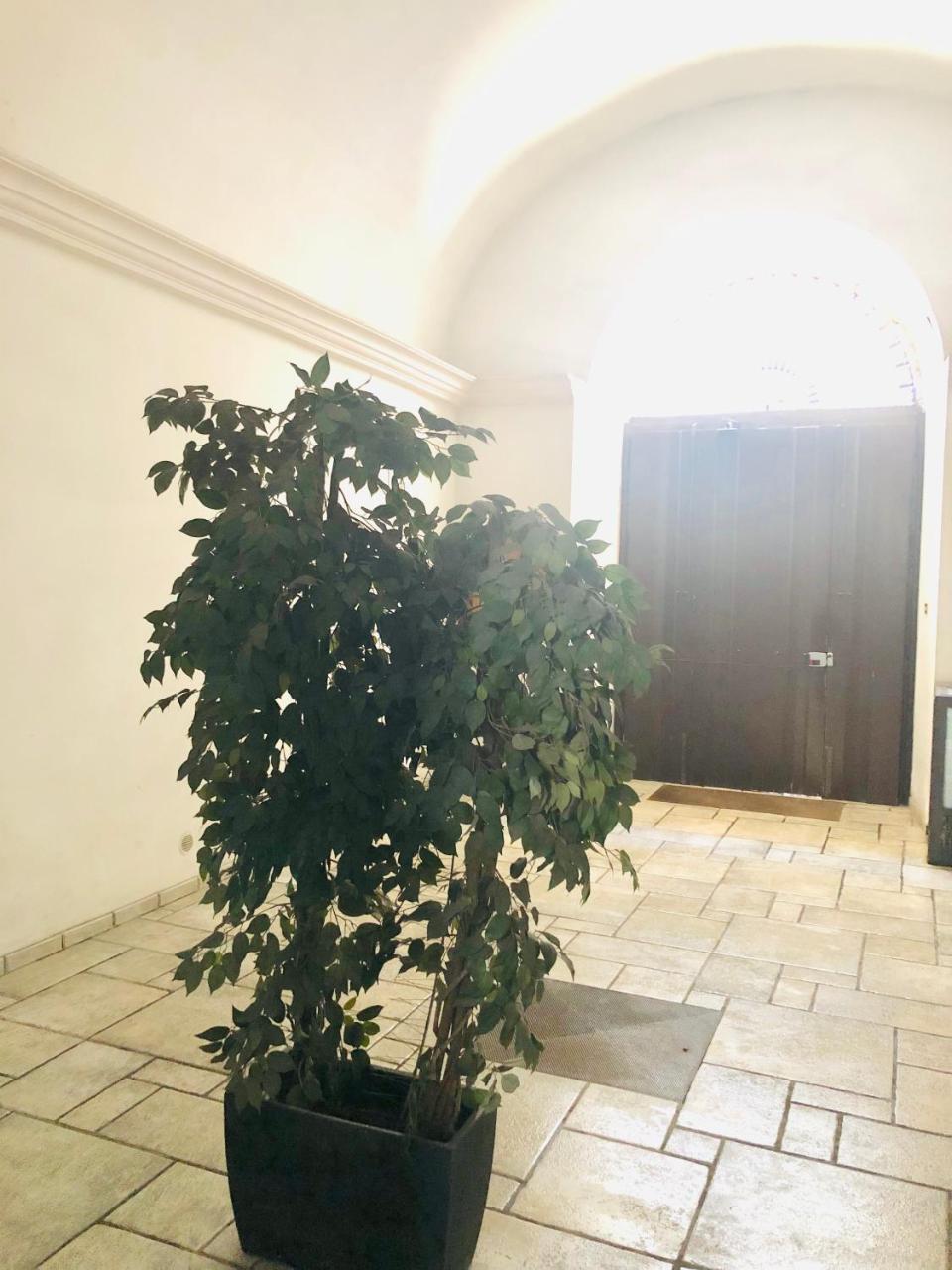 Baricityhouse المظهر الخارجي الصورة