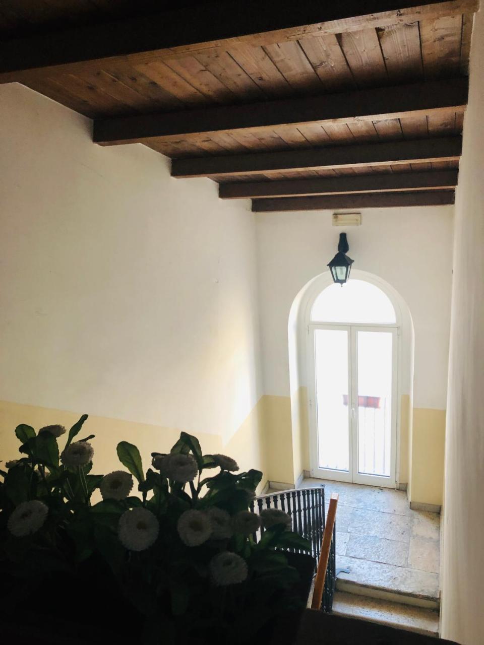 Baricityhouse المظهر الخارجي الصورة