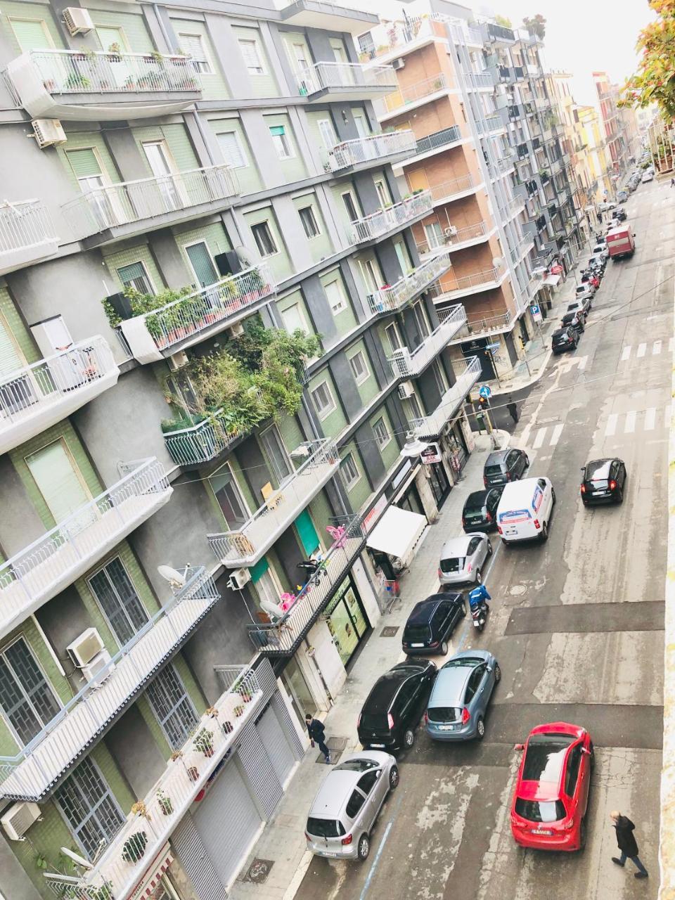 Baricityhouse المظهر الخارجي الصورة