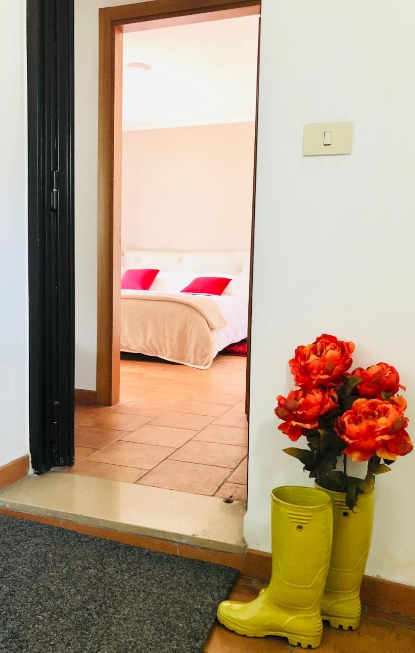 Baricityhouse المظهر الخارجي الصورة